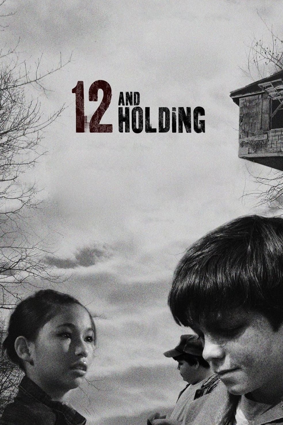 Постер 12 and Holding